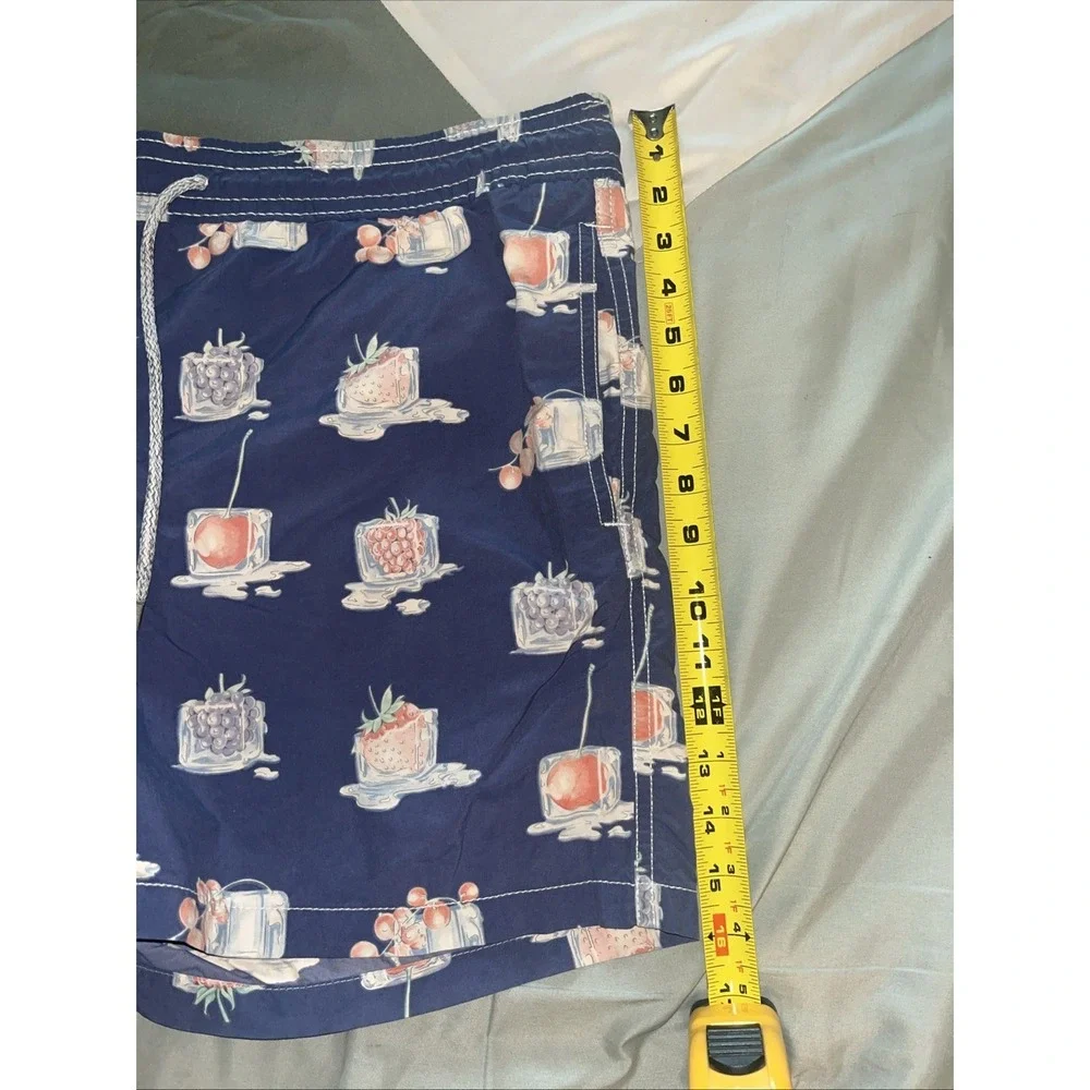 Vilebrequin Mens Size XL Blue Frozen Fruit Ice Swim Trunks Lined